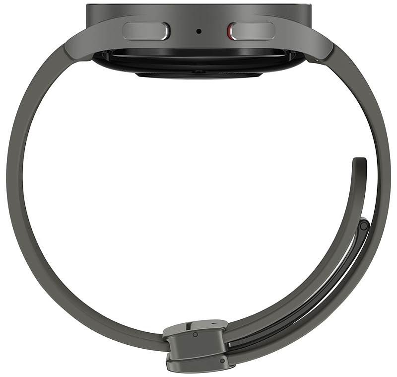 Samsung Galaxy Watch 5 Pro (серый титан) фото 4