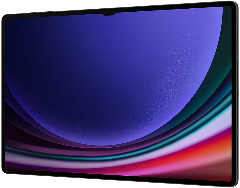 Samsung Galaxy Tab S9 Ultra Wi-Fi 12/256GB (серый) фото 3