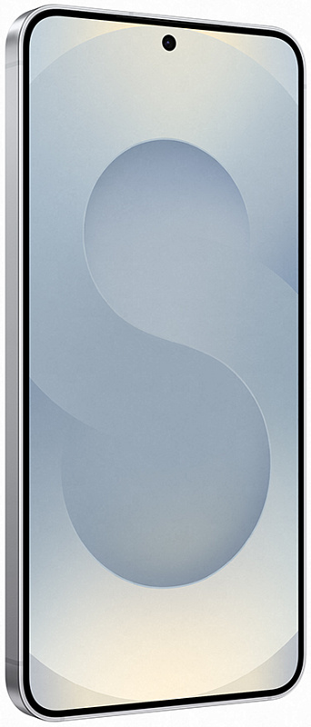 Samsung Galaxy S25 12/128GB (серый) фото 1