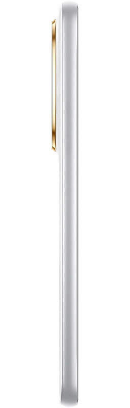 HONOR X9c Smart 8/256GB (белый) фото 8