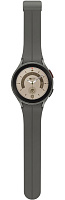 Samsung Galaxy Watch 5 Pro (серый титан) фото 5