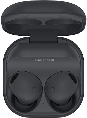 Товар Samsung Galaxy Buds 2 Pro (графит)