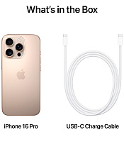 Apple iPhone 16 Pro 256GB (пустынный титан) фото 4