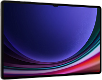 Samsung Galaxy Tab S9 Ultra Wi-Fi 12/256GB (серый) фото 1