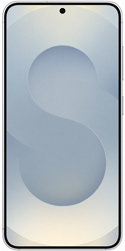 Samsung Galaxy S25 12/256GB (серый) фото 2