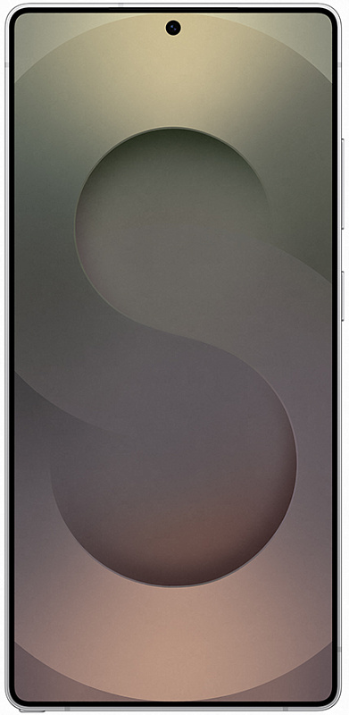 Samsung Galaxy S25 Ultra 5G 12/256GB (серебрянный титан) фото 2