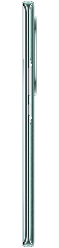 HONOR X9a 5G 8/256GB (шалфейный зеленый) фото 4