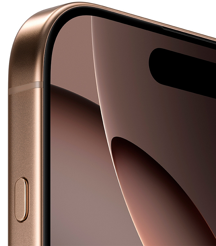 Apple iPhone 16 Pro 256GB (пустынный титан) фото 3