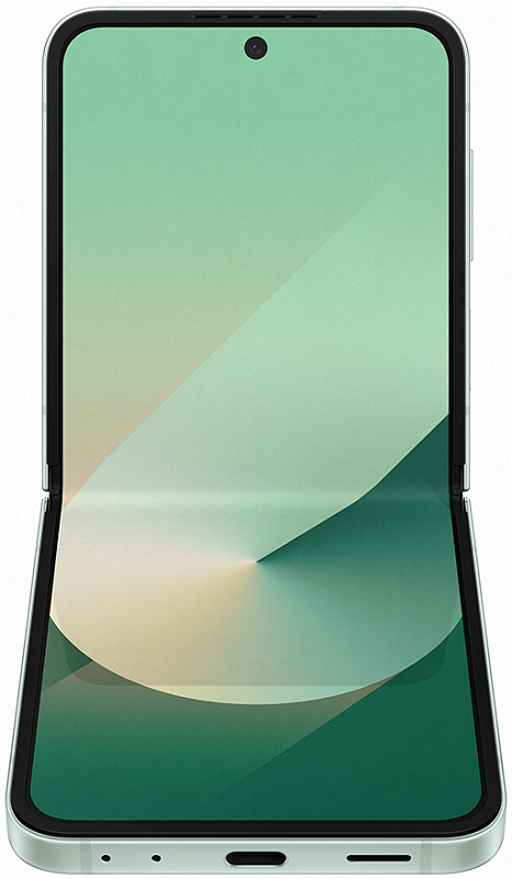 Samsung Galaxy Z Flip6 F741 12/512GB (мятный) фото 2
