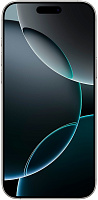 Apple iPhone 16 Pro Max 256GB (белый титан) фото 1