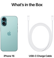 Apple iPhone 16 128GB (бирюзовый) фото 4