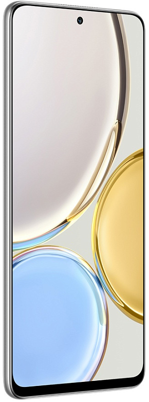 HONOR X9 6/128GB (титановый серебристый) фото 1