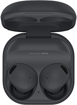 Samsung Galaxy Buds 2 Pro (графит)