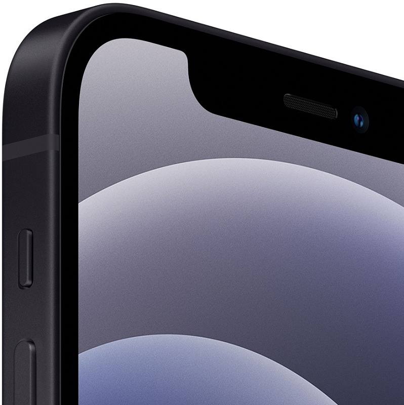 Apple iPhone 12 128GB (черный) фото 2