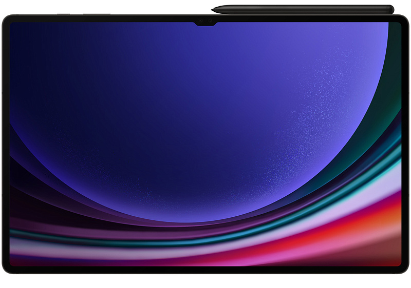 Samsung Galaxy Tab S9 Ultra Wi-Fi 12/256GB (серый) фото 2