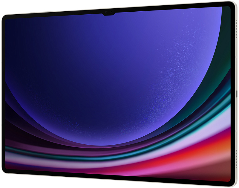 Samsung Galaxy Tab S9 Ultra Wi-Fi 12/512GB (бежевый) фото 3