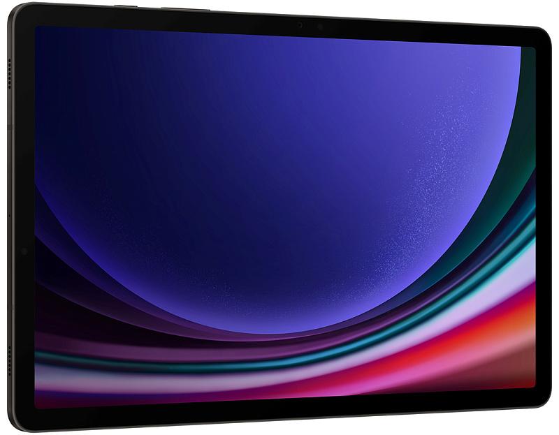 Samsung Galaxy Tab S9 Wi-Fi 8/128GB (серый) фото 1