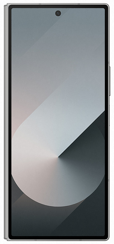 Samsung Galaxy Z Fold6 F956 12/256GB (серый) фото 2